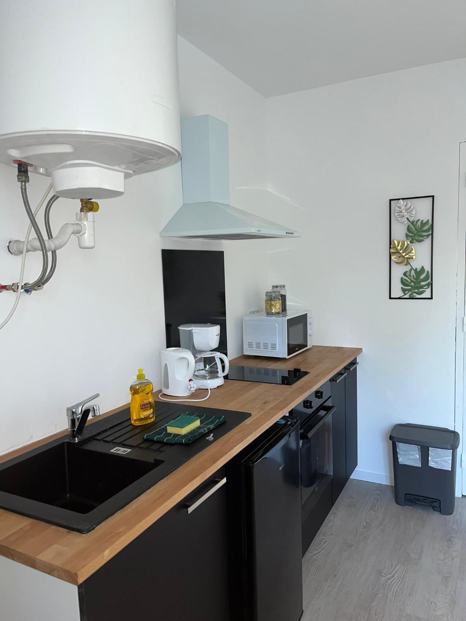 Studio Tropical , Vierzon , Proche Gare , Tout Confort Kültér fotó