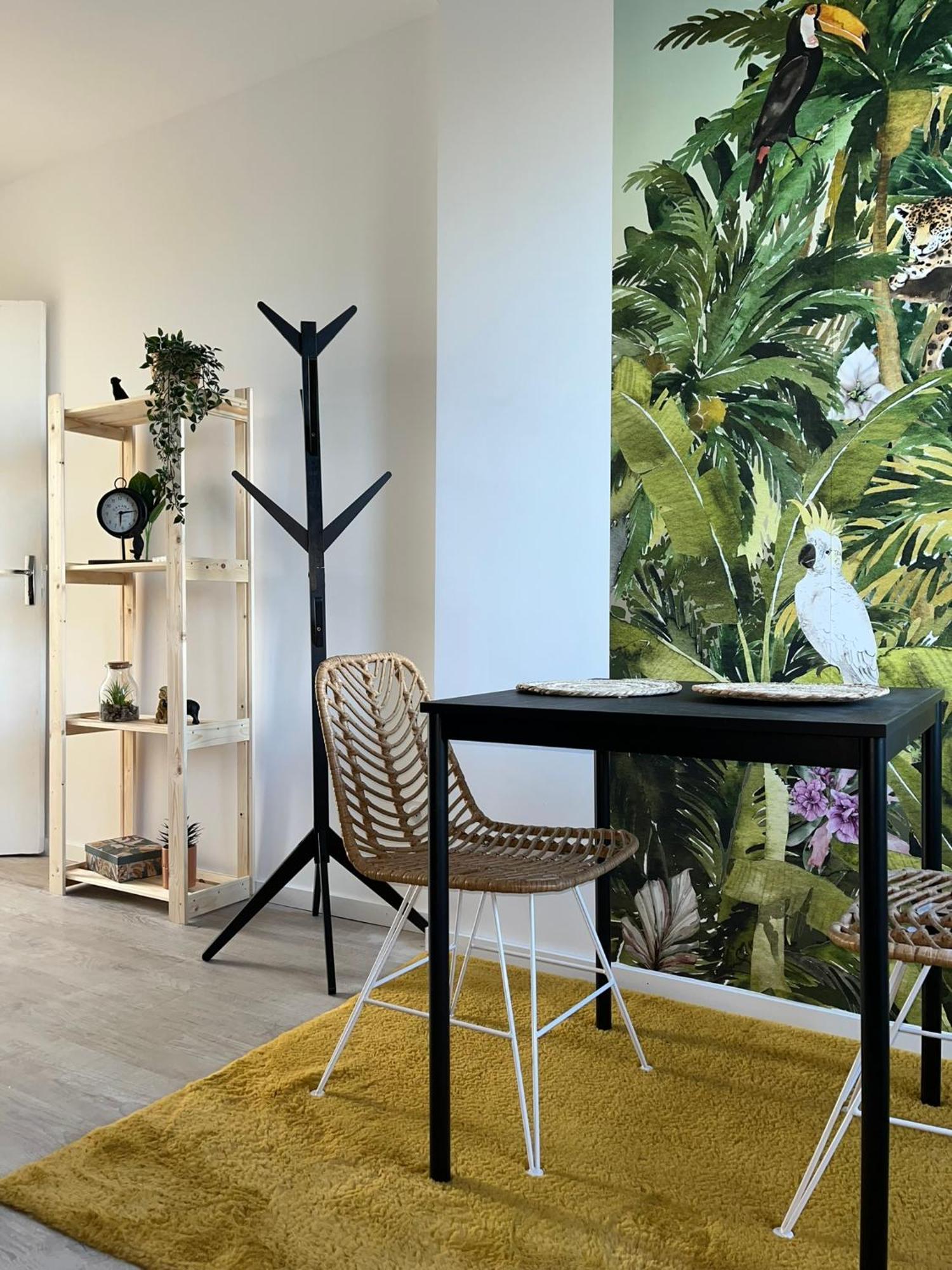 Studio Tropical , Vierzon , Proche Gare , Tout Confort Kültér fotó